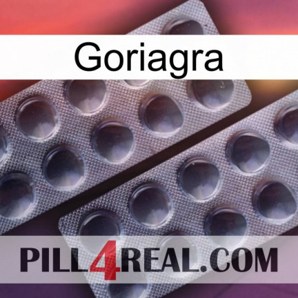 Goriagra 31